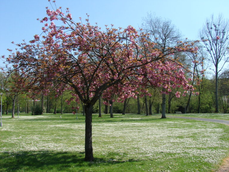 Camping Au Coeur De Vendôme - Bild 4