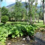 Camping Au Valbonheur - Bild 2