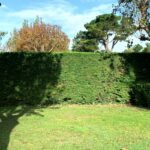 Camping Aux Coeurs Vendéens - Bild 10