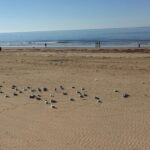 Camping Aux Coeurs Vendéens - Bild 15