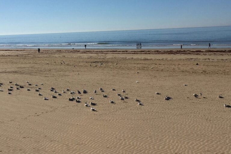 Camping Aux Coeurs Vendéens - Bild 15