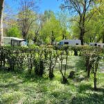 Camping Bagatelle - Bild 12 Camping Bagatelle - Bild 12