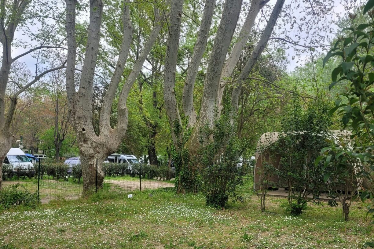 Camping Bagatelle - Bild 13 Camping Bagatelle - Bild 13