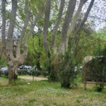 Camping Bagatelle - Bild 13 Camping Bagatelle - Bild 13