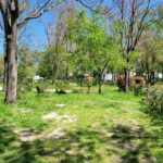 Camping Bagatelle - Bild 5 Camping Bagatelle - Bild 5