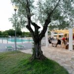 Camping Baia Verde - Bild 19