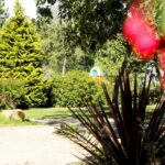 Camping Baie De Térénez - Bild 12