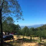 Camping Barco Reale - Bild 12