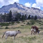 Camping Beau Rivage - Bild 6