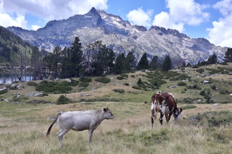 Camping Beau Rivage - Bild 6