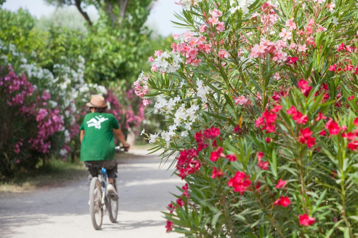 Camping Beauregard Plage - Bild 20 Camping Beauregard Plage - Bild 20