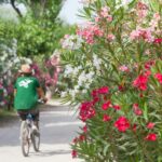 Camping Beauregard Plage - Bild 20 Camping Beauregard Plage - Bild 20