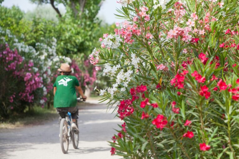 Camping Beauregard Plage - Bild 20 Camping Beauregard Plage - Bild 20