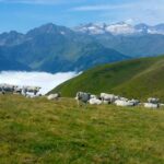 Camping Bedura Park - Bild 20