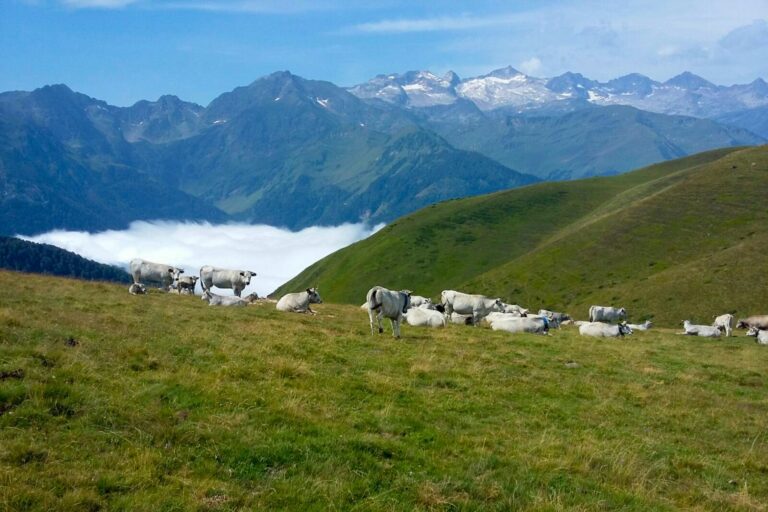 Camping Bedura Park - Bild 20