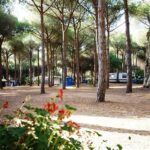 Camping Bella Sardinia - Bild 11