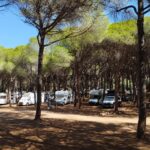 Camping Bella Sardinia - Bild 17