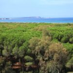 Camping Bella Sardinia - Bild 1