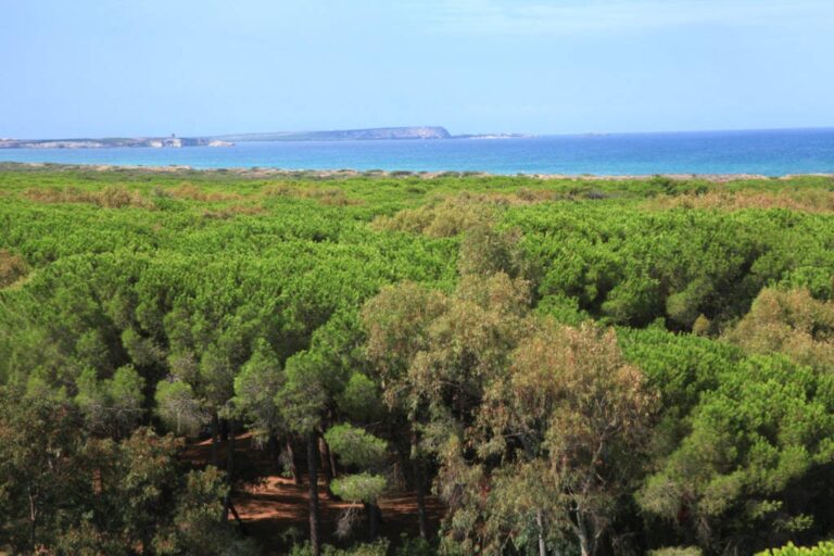 Camping Bella Sardinia - Bild 1