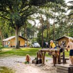 Camping Beringerzand - Bild 8 Camping Beringerzand - Bild 8