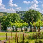 Camping Biggesee-vier Jahreszeiten - Bild 14