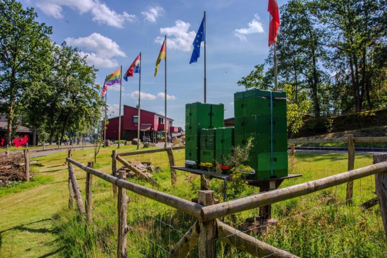 Camping Biggesee-vier Jahreszeiten - Bild 2