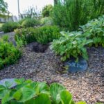 Camping Biggesee-vier Jahreszeiten - Bild 3