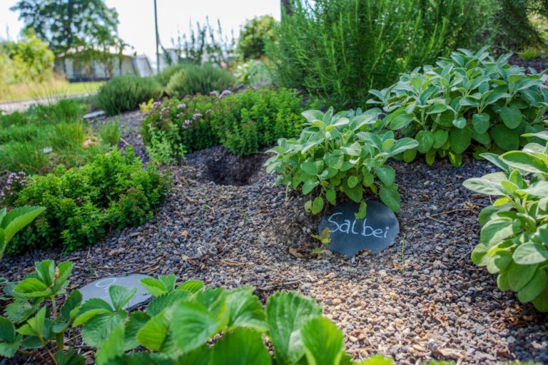 Camping Biggesee-vier Jahreszeiten - Bild 3