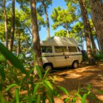 Camping Bijar - Bild 3