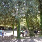 Camping Bois Soleil - Bild 12