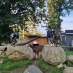 Camping Bøllingsø - Bild 6