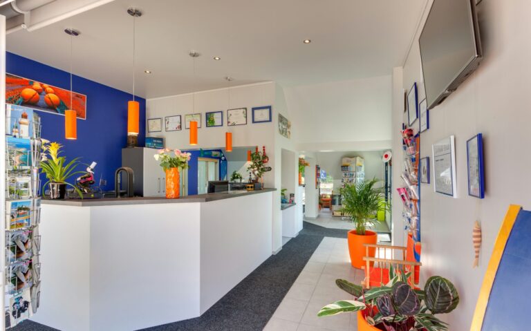 Camping Bretagne Les Embruns - Bild 6