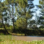 Camping Brin D'amour - Bild 9 Camping Brin D'amour - Bild 9