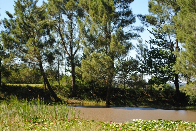 Camping Brin D'amour - Bild 9 Camping Brin D'amour - Bild 9