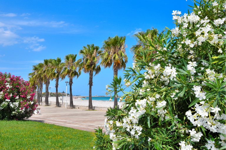 Camping & Bungalows Estanyet - Bild 9 Camping & Bungalows Estanyet - Bild 9