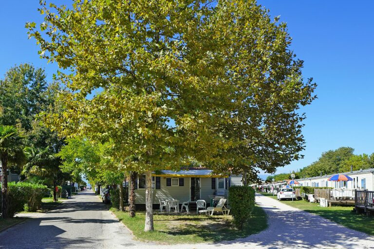 Camping Butterfly - Bild 1