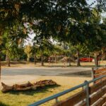 Camping Caledonia - Bild 11