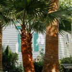 Camping Caledonia - Bild 3