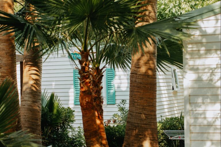 Camping Caledonia - Bild 3