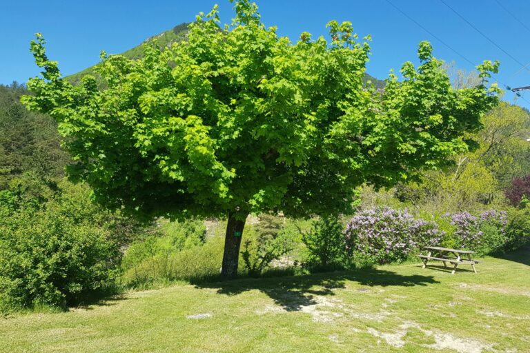 Camping Calme Et Nature - Bild 9