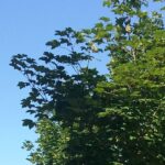 Camping Camp Redon - Bild 2