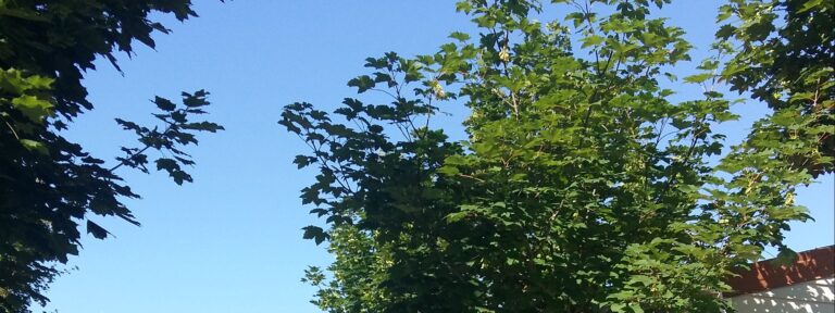 Camping Camp Redon - Bild 2