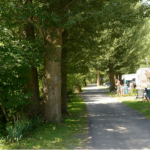 Camping Canoë Gorges Du Tarn - Bild 2