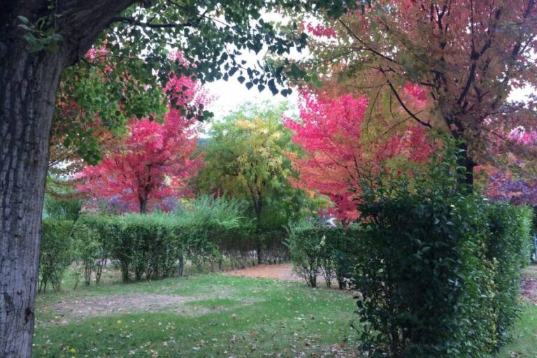 Camping Canoë Gorges Du Tarn - Bild 5