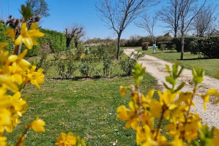 Camping Carrefour De L'ardèche - Bild 1