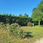 Camping Carrefour De L'ardèche - Bild 4