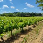 Camping Carrefour De L'ardèche - Bild 5