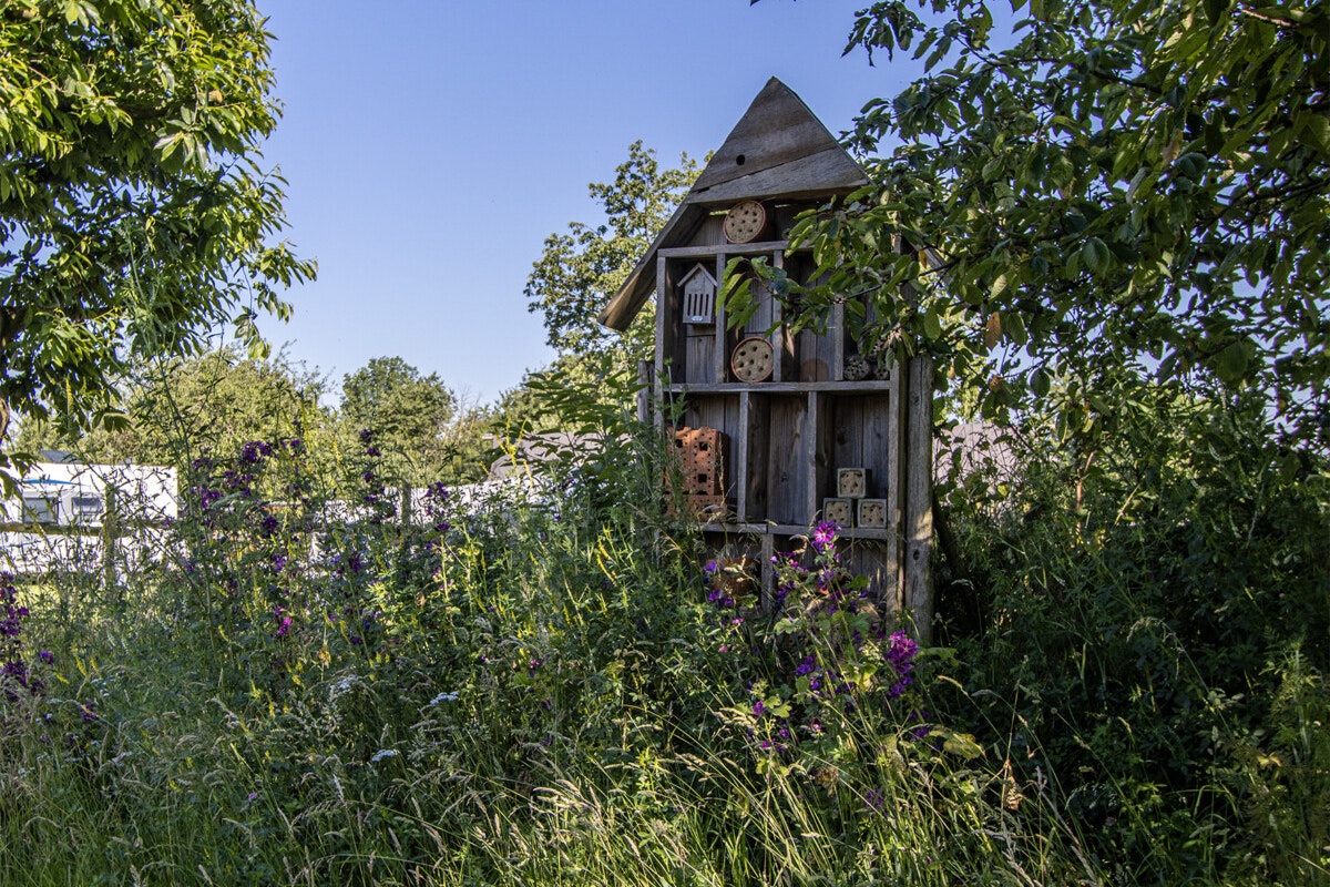 Camping Catsop - Bild 8 Camping Catsop - Bild 8