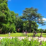 Camping Château De La Rolandière - Bild 10 Camping Château De La Rolandière - Bild 10