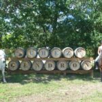 Camping Chez Gendron - Bild 13 Camping Chez Gendron - Bild 13